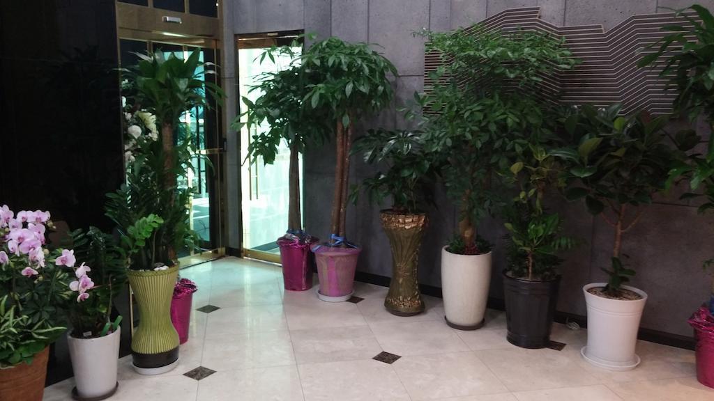 Coop City Hotel Oryu Station Seul Exterior foto